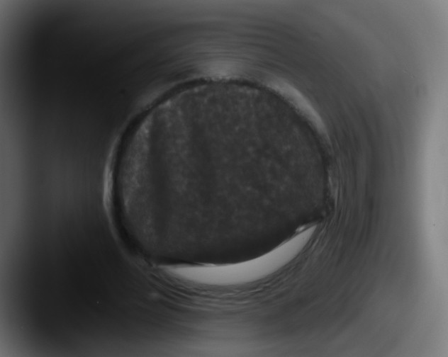 X0000087610488200705181258