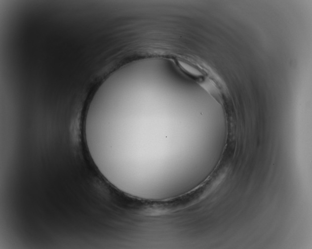 X0000087610489200705181258