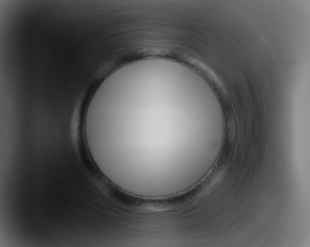 X0000087610490200705181258