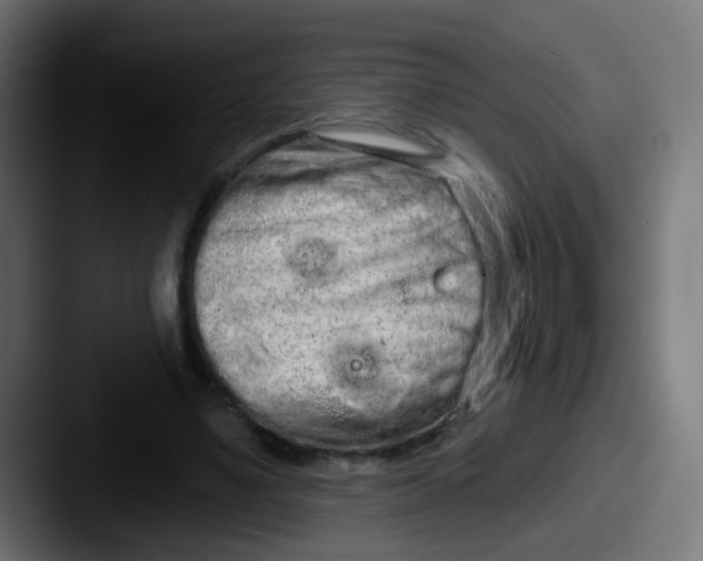 X0000087610491200705181258