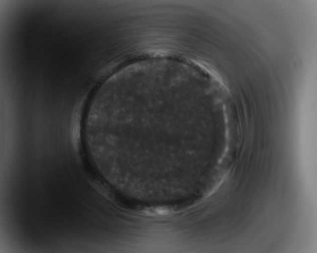 X0000087610492200705181258