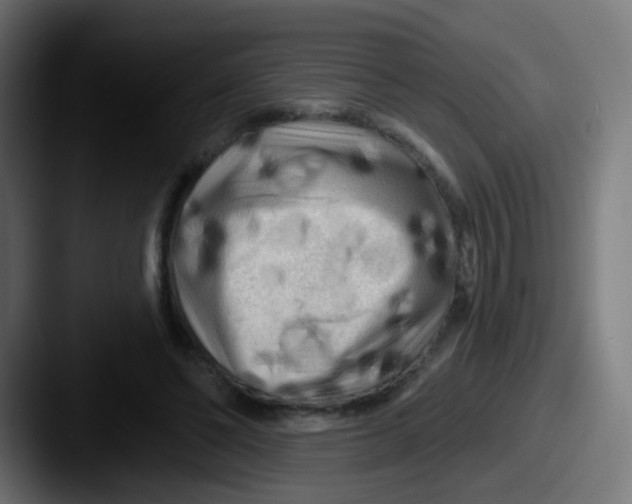 X0000087610494200705181258