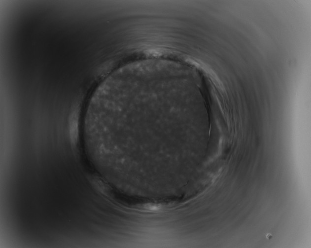 X0000087610496200705181258