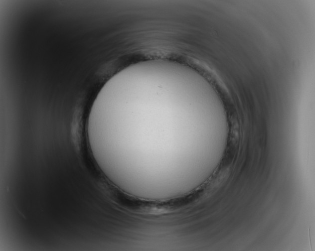 X0000087610498200705181257