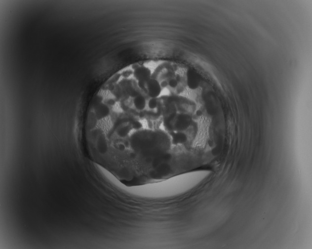 X0000087610499200705181257