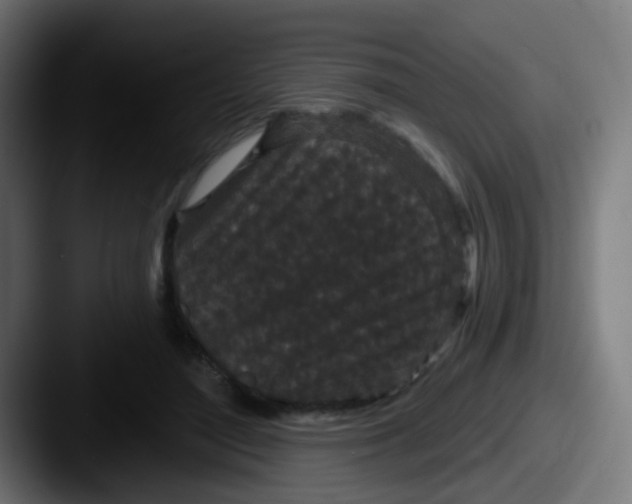 X0000087610500200705181257