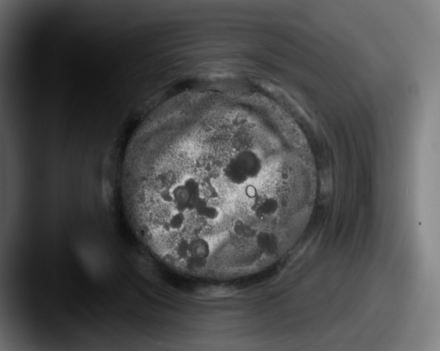 X0000087610503200705181257