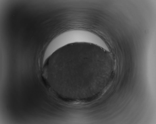 X0000087610504200705181257