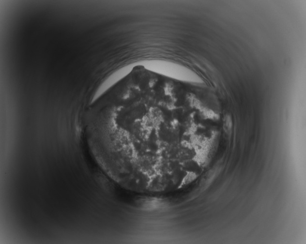 X0000087610507200705181257