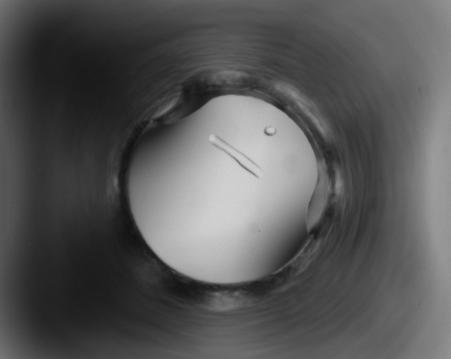 X0000087610508200705181257