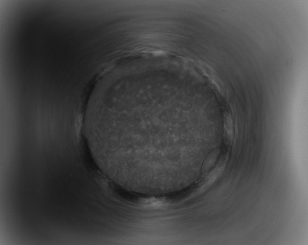 X0000087610511200705181257