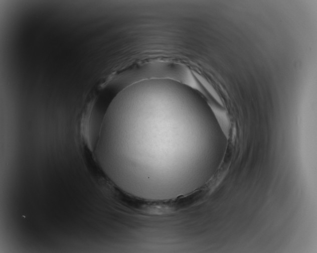 X0000087610512200705181257