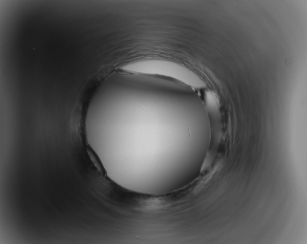 X0000087610513200705181257