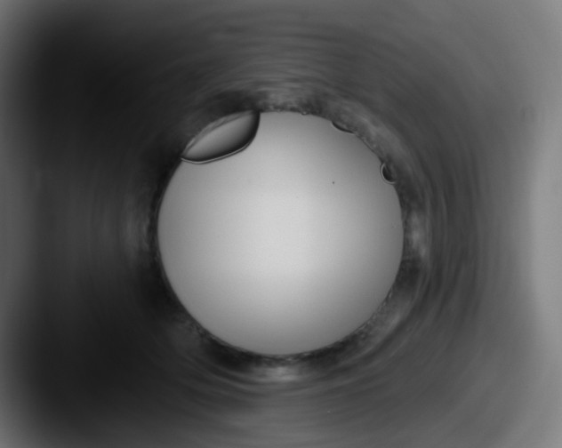 X0000087610514200705181257