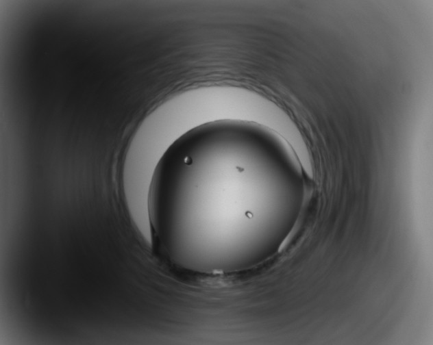 X0000087610516200705181257