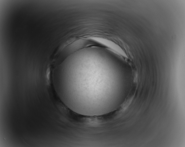 X0000087610524200705181257