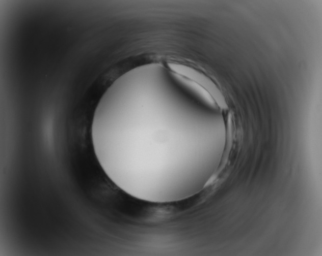 X0000087610525200705181257