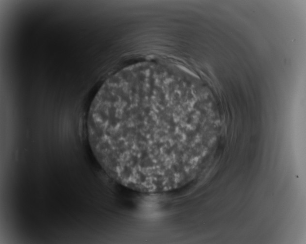 X0000087610527200705181257