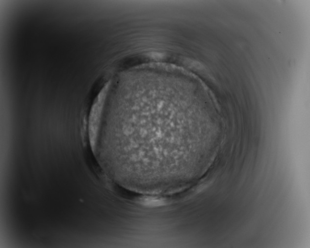 X0000087610528200705181257