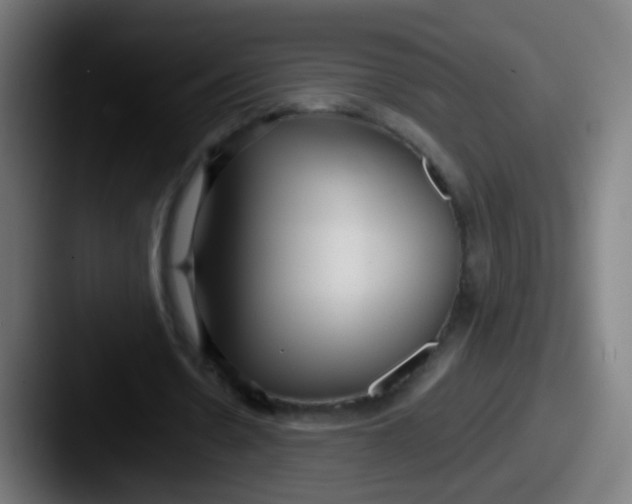 X0000087610530200705181257