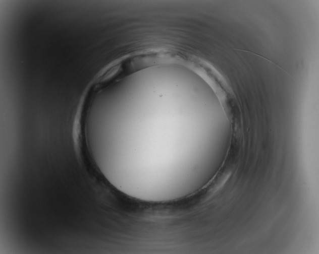 X0000087610532200705181257