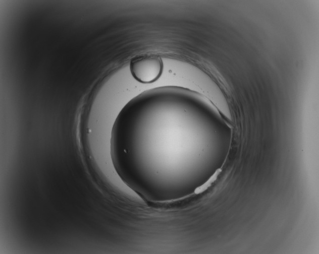 X0000087610534200705181257