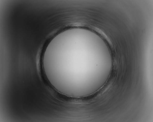 X0000087610535200705181257