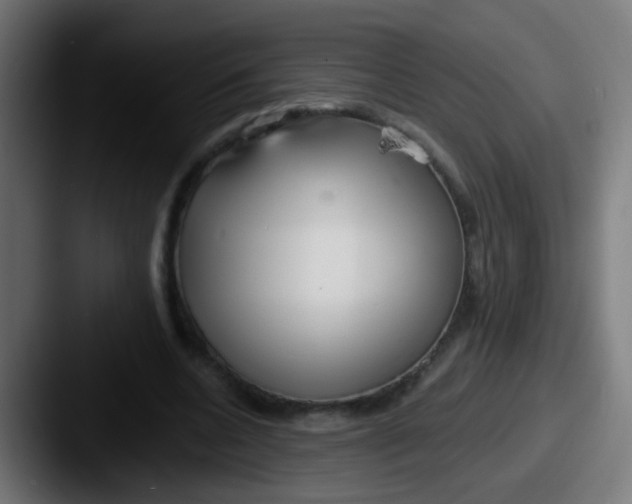 X0000087610536200705181257