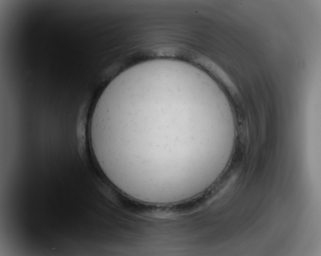 X0000087610537200705181257