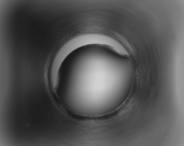 X0000087610538200705181257