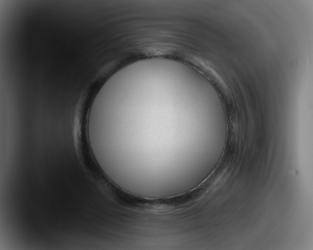 X0000087610539200705181257