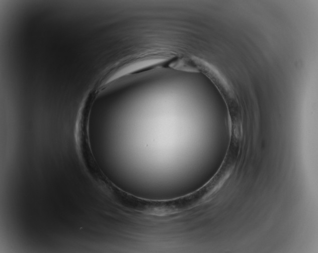 X0000087610540200705181257