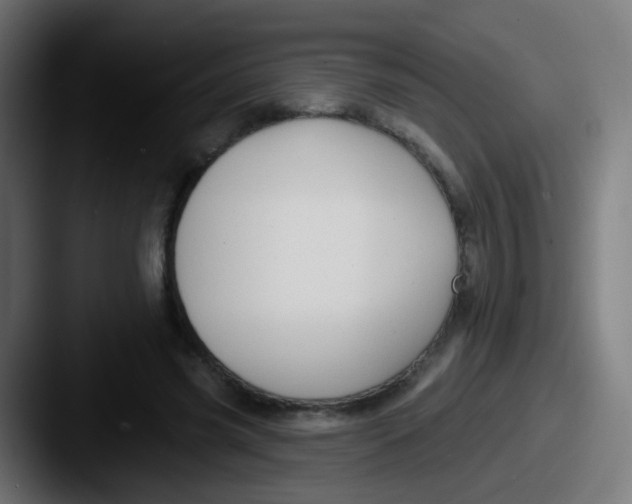 X0000087610541200705181257