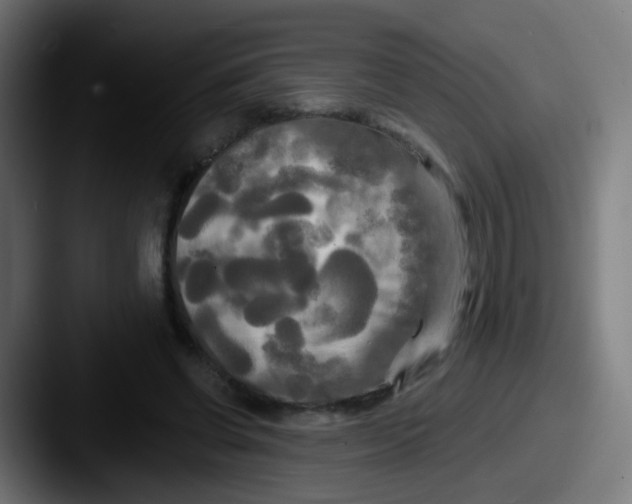 X0000087610542200705181257