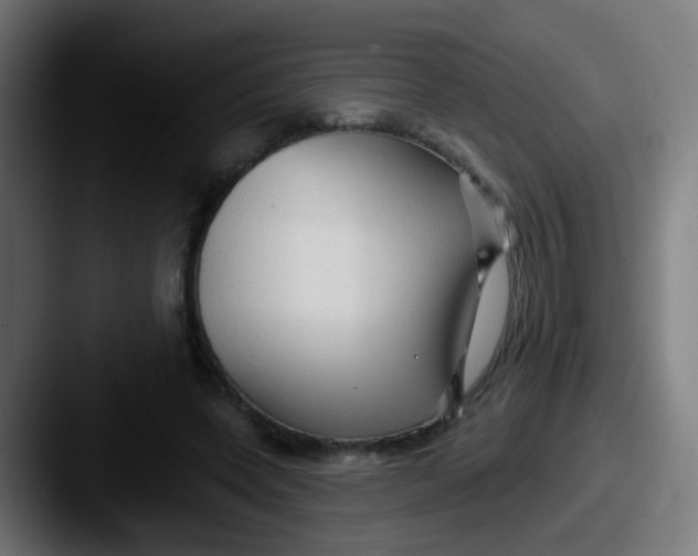 X0000087610543200705181257