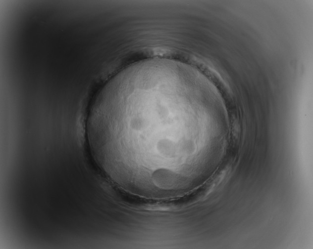 X0000087610545200705181257