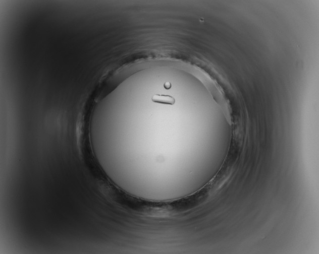 X0000087610548200705181257