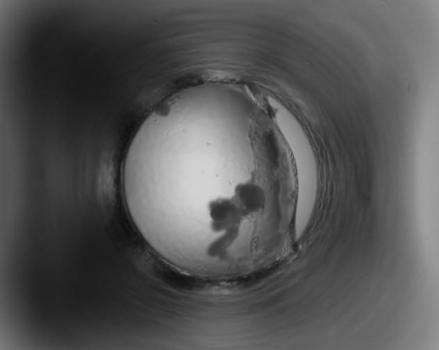 X0000087610550200705181257