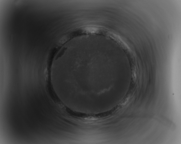 X0000087610551200705181257