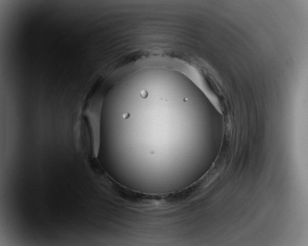 X0000087610552200705181257