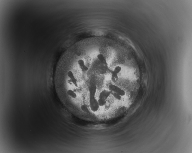 X0000087610553200705181257