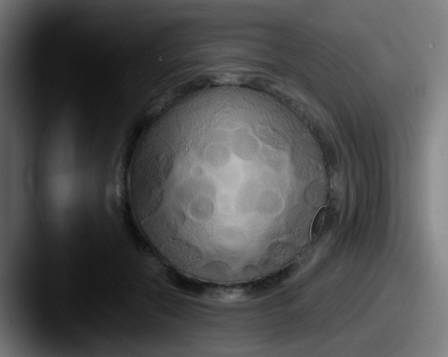 X0000087610554200705181257