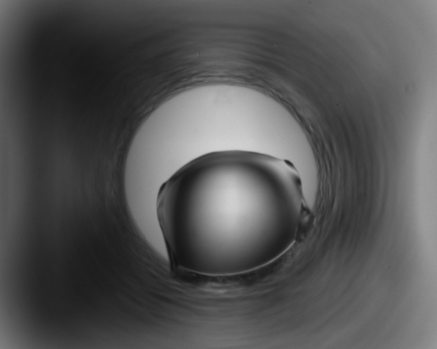 X0000087610556200705181257