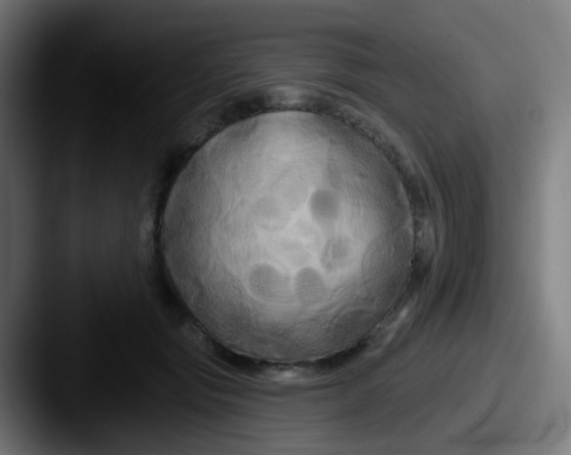 X0000087610557200705181257