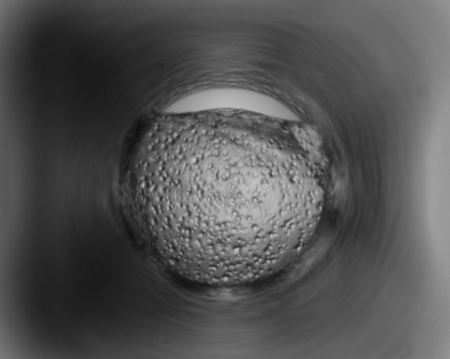 X0000087610558200705181257