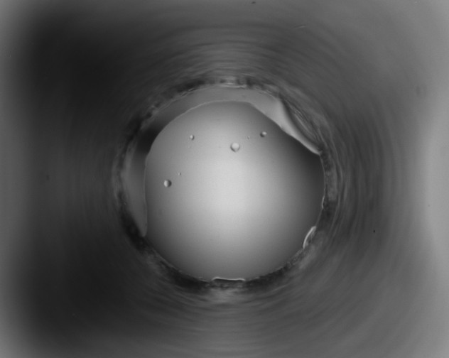 X0000087610560200705181257