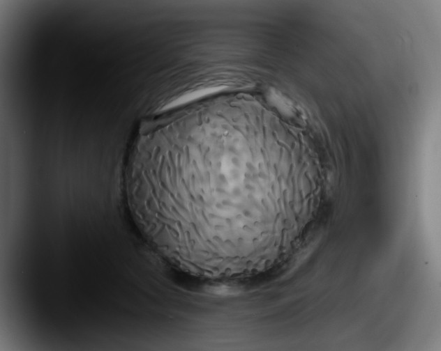 X0000087610561200705181257