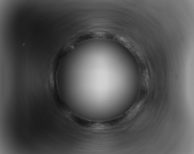 X0000087610562200705181257