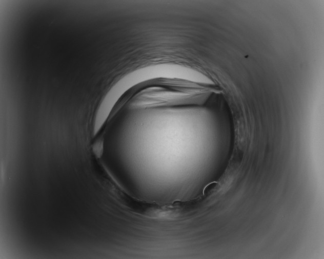 X0000087610563200705181257