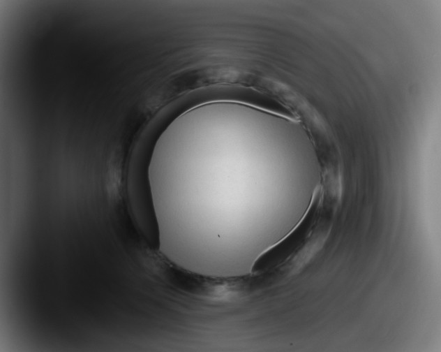 X0000087610564200705181257